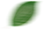 leaf-three